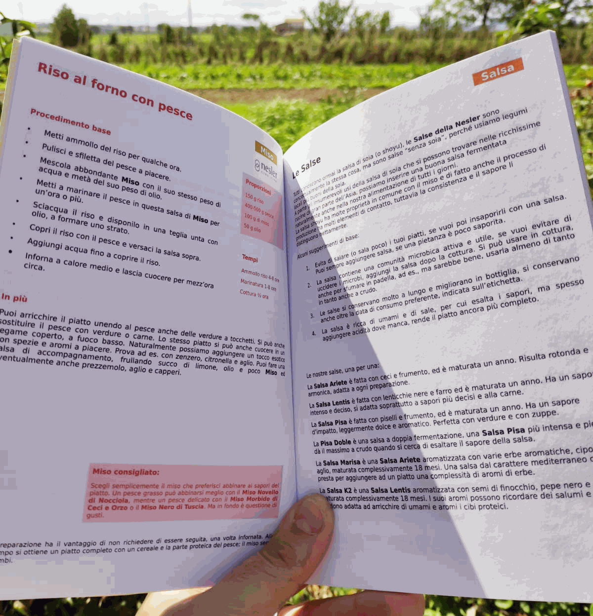 Odoo • Testo e immagine