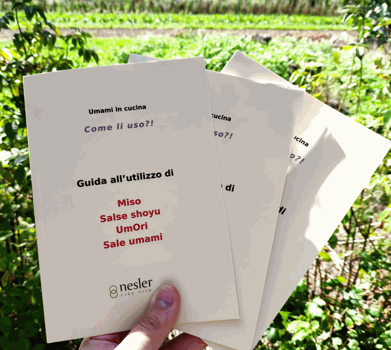 Odoo • Testo e immagine
