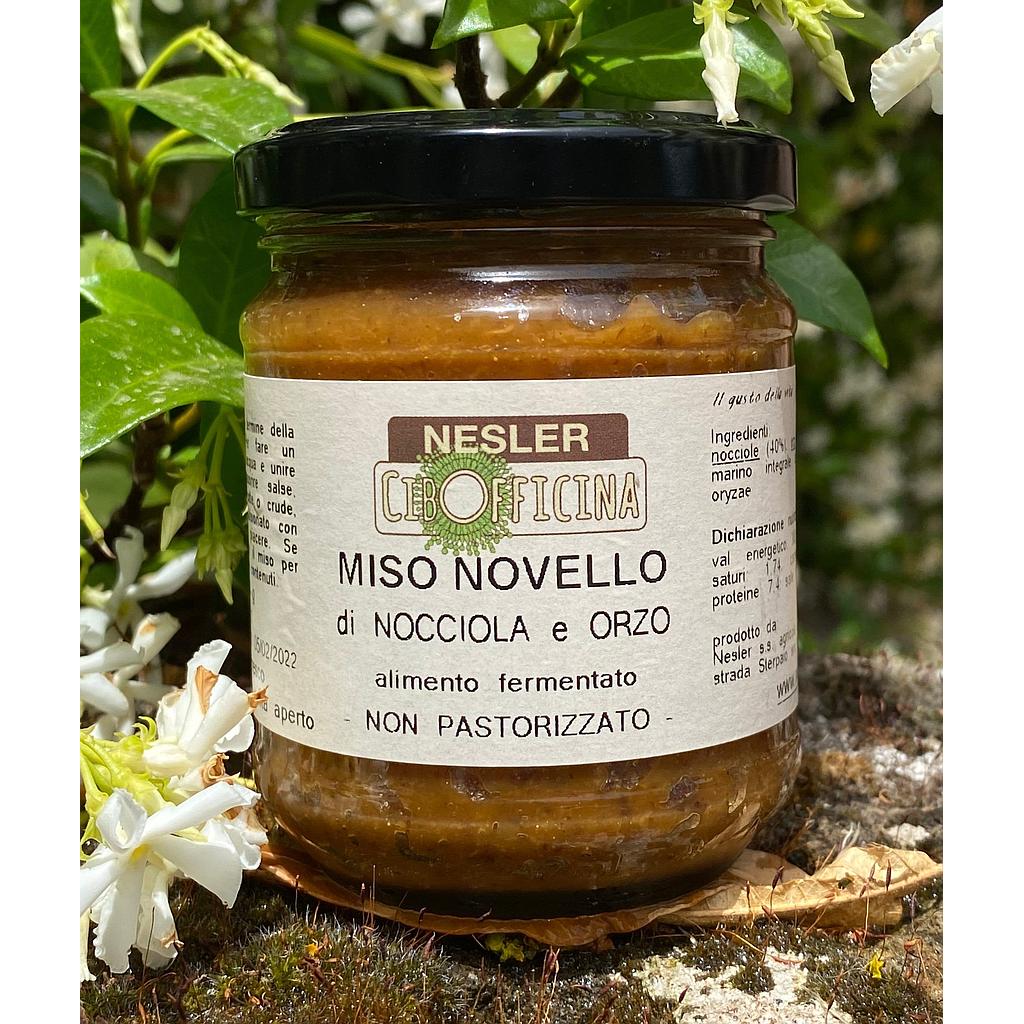 Miso Novello di Nocciola 200g scontato 20%