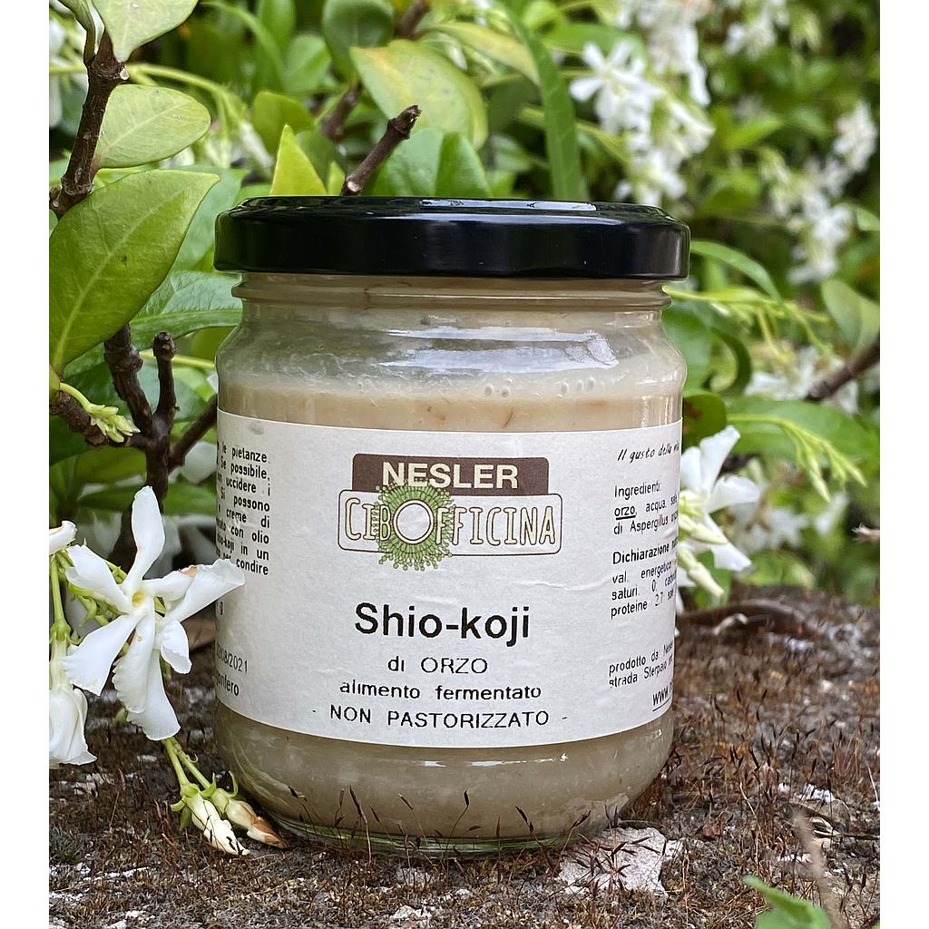 Shio-Koji di Orzo 190 g - scontato 20%